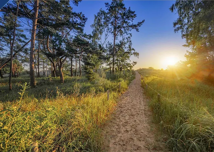 Linde 2 * Heringsdorf (Usedom)